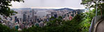 IMGP1945-pan.jpg