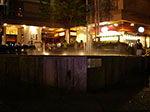 IMGP2037.jpg