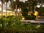 IMGP2055.jpg