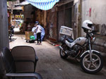 IMGP2073.jpg