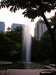 IMGP2090.jpg