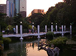 IMGP2092.jpg