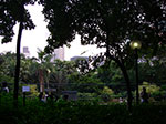IMGP2095.jpg