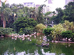 IMGP2099.jpg