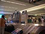 IMGP2454.jpg