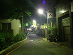 IMGP2462.jpg