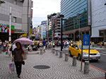 IMGP2491.jpg