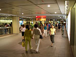 IMGP2501.jpg