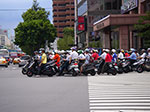 IMGP2507.jpg