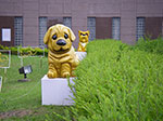 IMGP2515.jpg