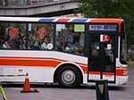 IMGP2530.jpg