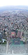 IMGP2558-pan.jpg