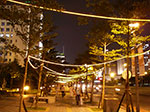 IMGP2704.jpg