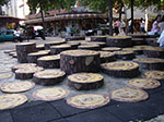 IMGP2826.jpg