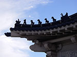 IMGP2830.jpg