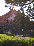 IMGP2911.jpg