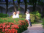 IMGP2913.jpg