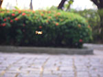 IMGP2922.jpg