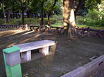 IMGP2926.jpg