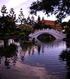 IMGP2934-pan.jpg