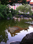 IMGP2942.jpg