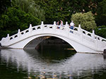 IMGP3110.jpg