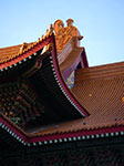 IMGP3117.jpg