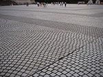 IMGP3118.jpg