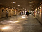 IMGP3173.jpg