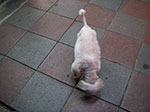 IMGP3198.jpg