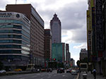 IMGP3208.jpg
