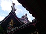 IMGP3230.jpg