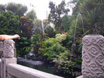 IMGP3235.jpg