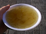IMGP3247.jpg
