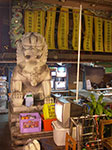 IMGP3312.jpg
