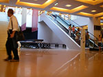 IMGP3403.jpg