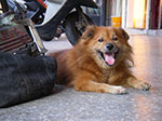 IMGP3418.jpg