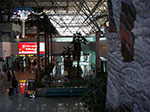 IMGP3472.jpg