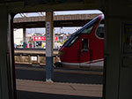 IMGP3484.jpg