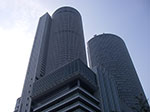 IMGP3486.jpg