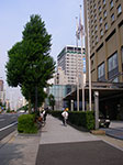 IMGP3491.jpg