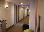 IMGP3494.jpg