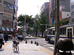 IMGP3504.jpg