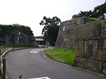 IMGP3516.jpg
