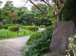 IMGP3518.jpg