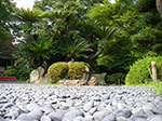 IMGP3519.jpg