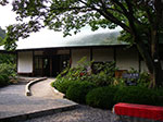 IMGP3521.jpg
