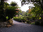 IMGP3524.jpg