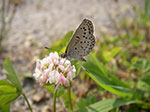 IMGP3527.jpg