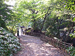 IMGP3530.jpg